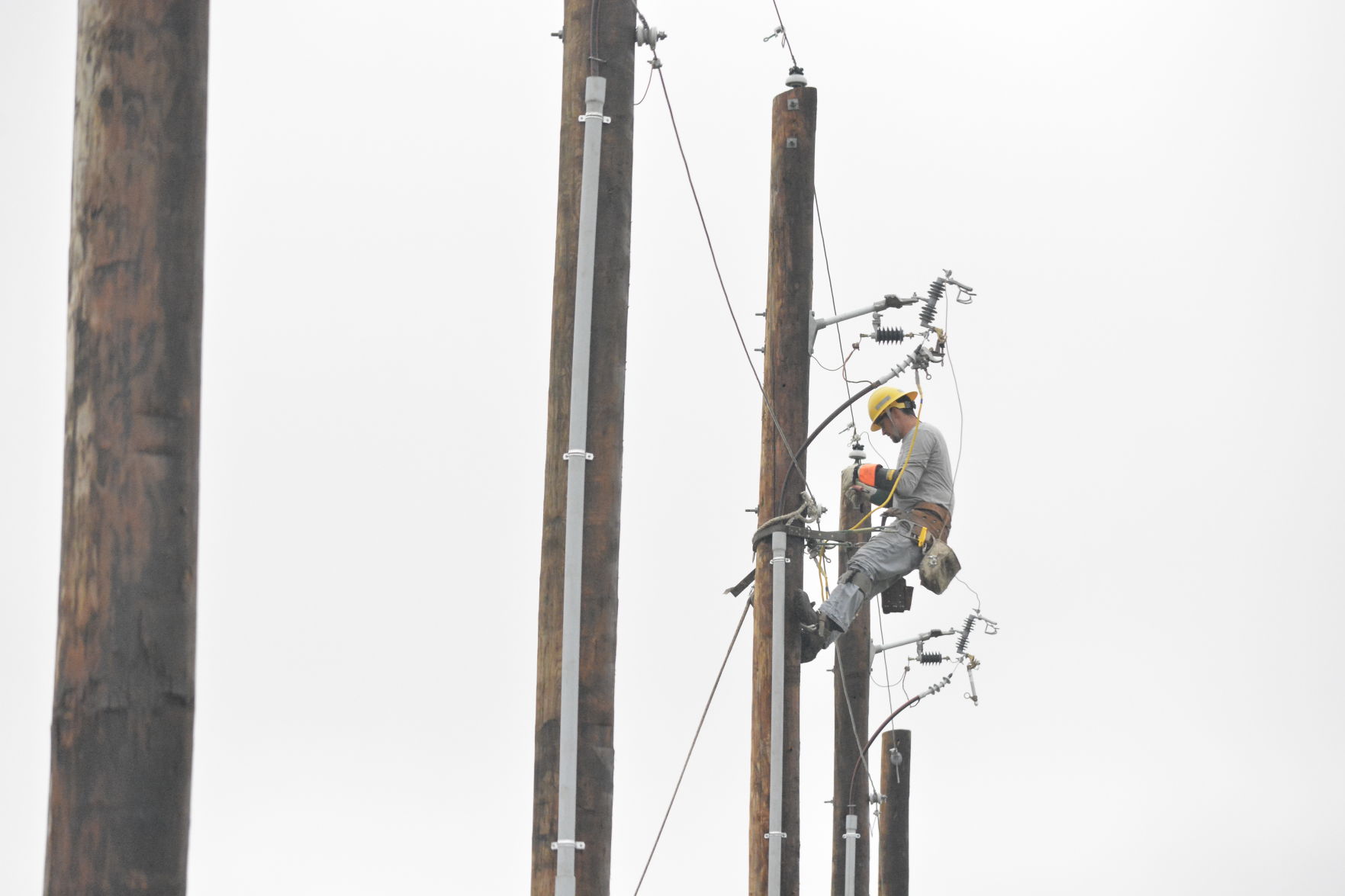 8-24-19 Lineworker's Rodeo (57).JPG